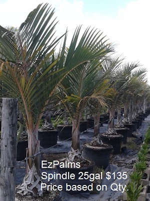 slide-Ez_Spindle_Palm